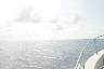 DSC00230.JPG