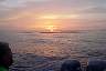 DSC00316.JPG
