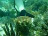 DSC04295.jpg